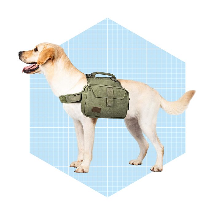 Dog Pack Saddlebag Ecomm Via Amazon.com