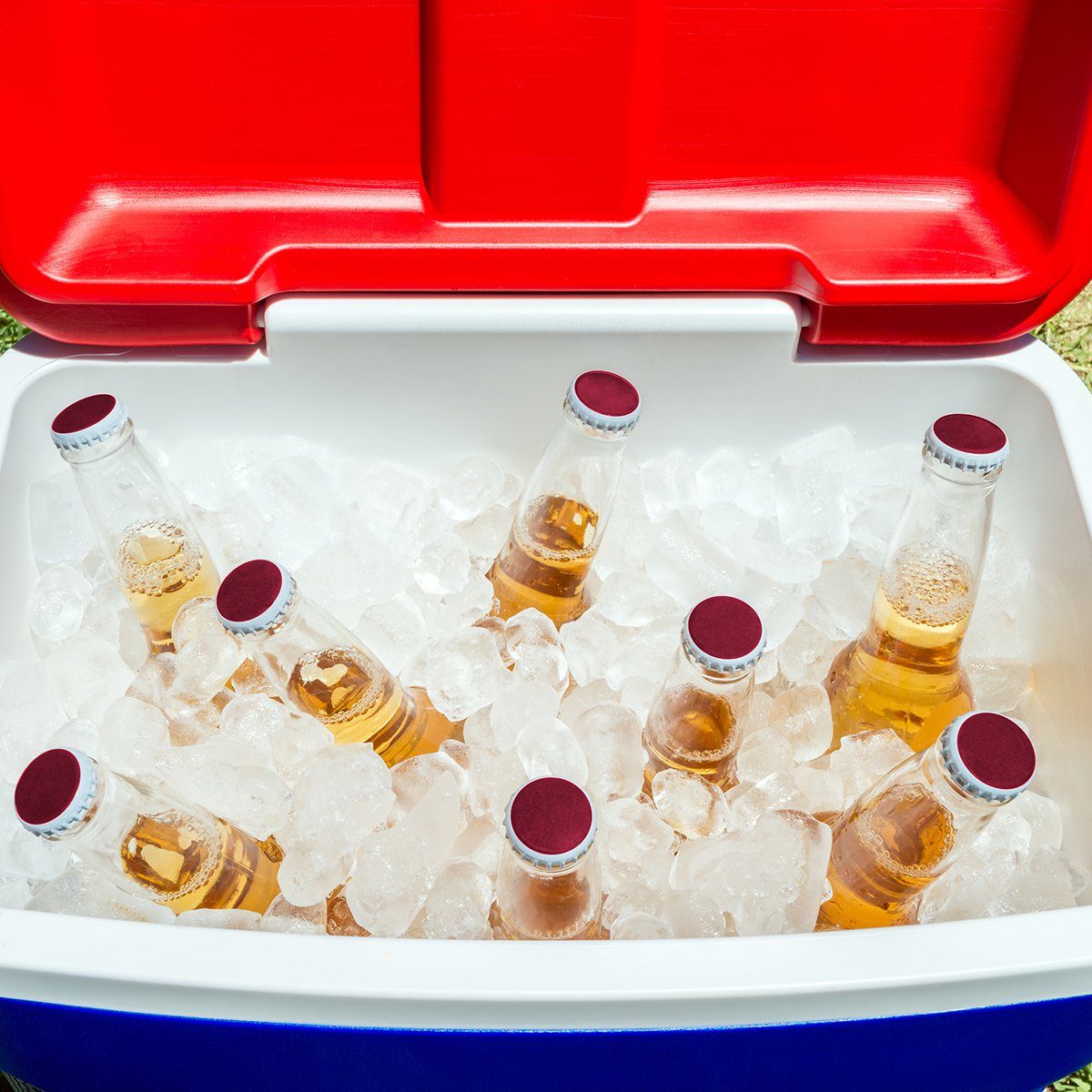 Picnic cooler box with bottles of beer and ice on grass during Australia Day celebration