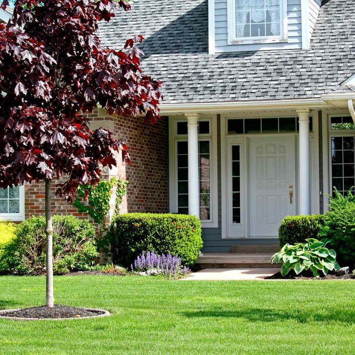 10 Curb Appeal Landscaping Ideas You Can DIY | The Family Handyman