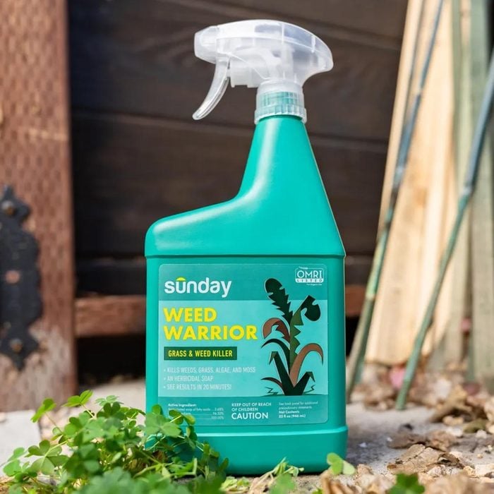 6 Best Organic Weed Killers That Are Safe For The Yard Ft Via Getsunday.com