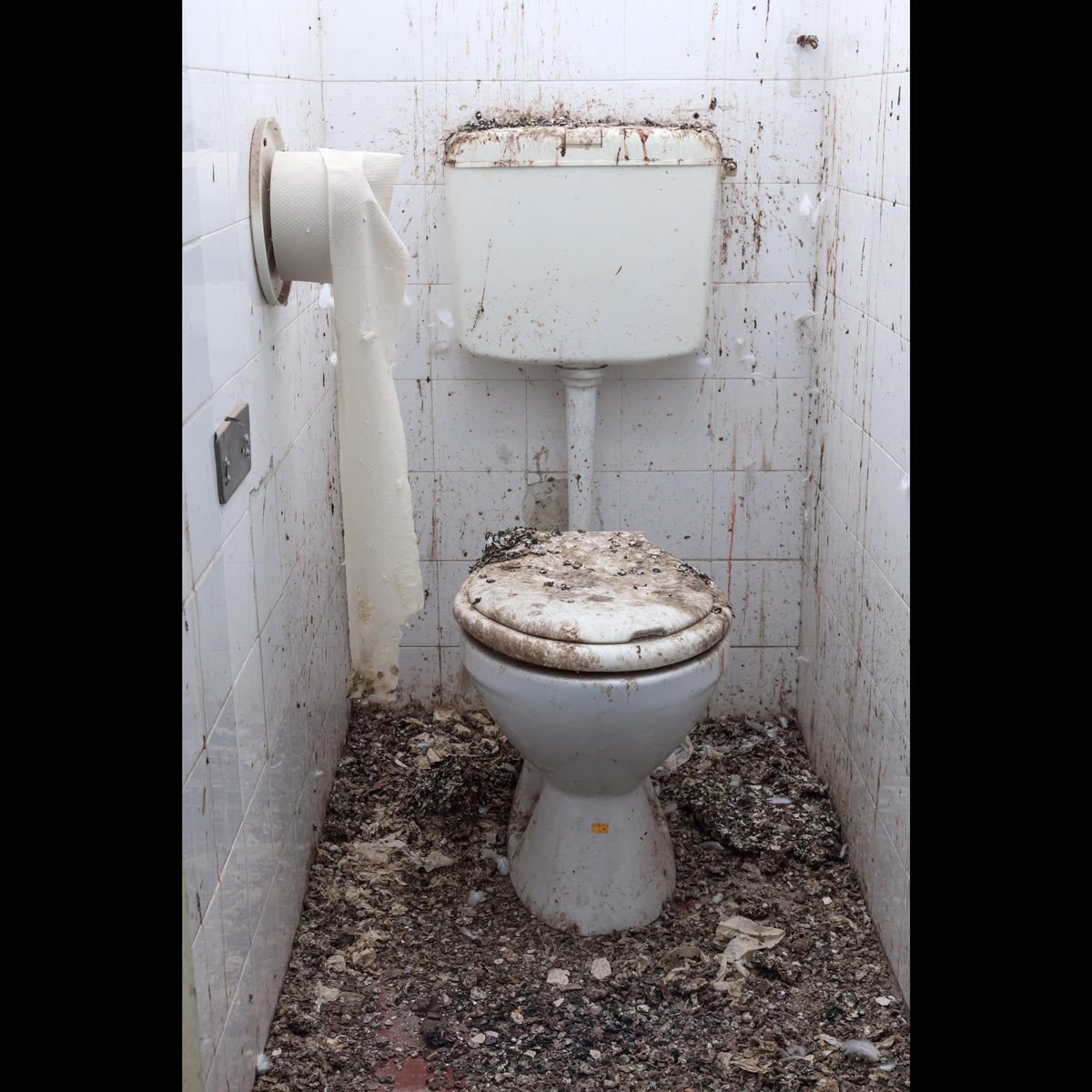 Disgusting-toilet-in-abandoned-house