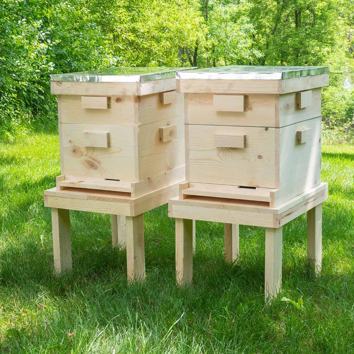 bee hive featured photo