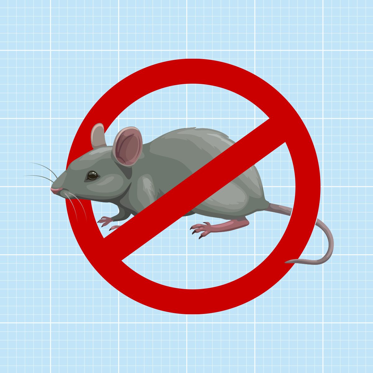 Gettyimages 1401604241 Best Mouse Repellents