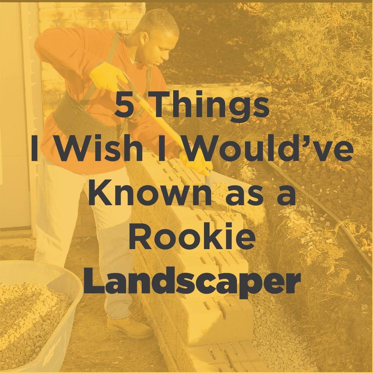 5 Things I Wish I Would've Known as a Rookie Landscaper