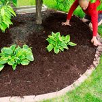 Gardening Tips for Brown Thumbs