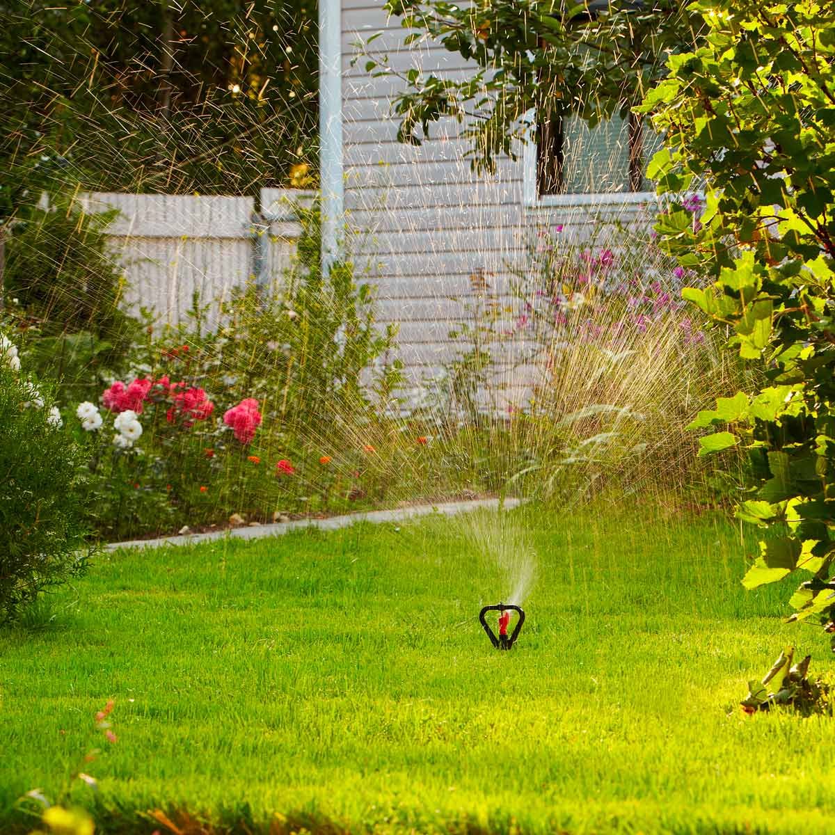 10 Essential Summer Lawn Care Tips | Family Handyman