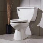 Tips for Choosing a Toilet