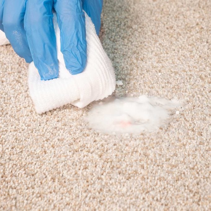 How To Get Blood Out Of Carpet Family