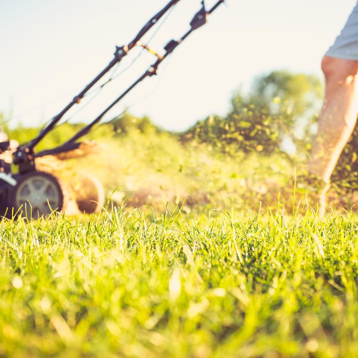  How to Keep Grass Green and Achieve a Healthy Lawn