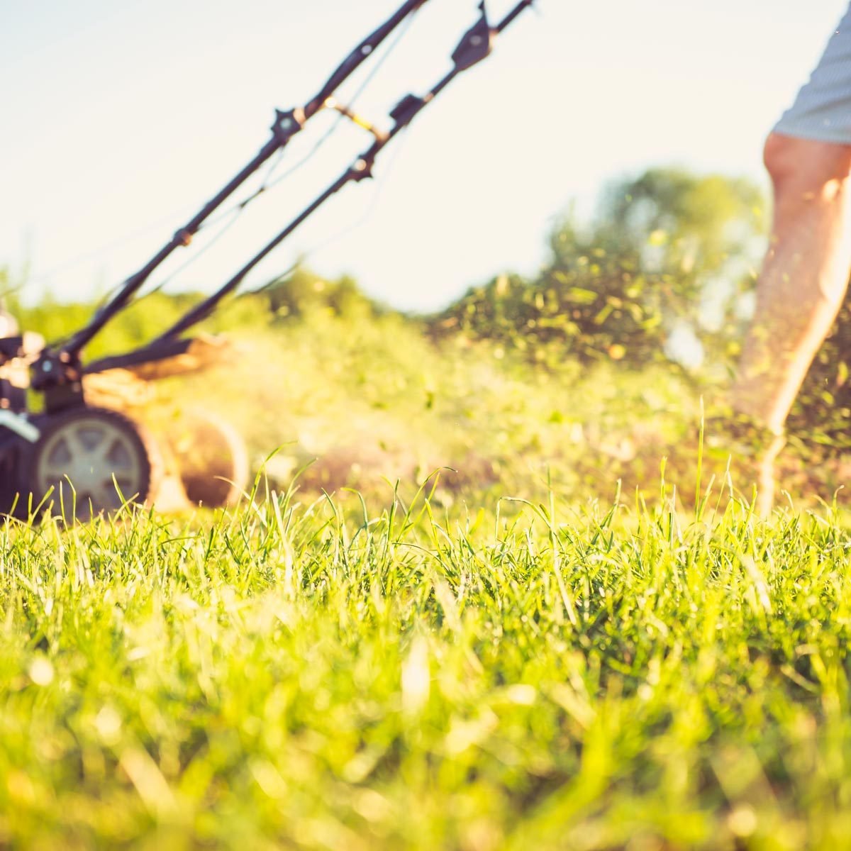 Go Touch Grass: The Healthy Aspect of Being Outside