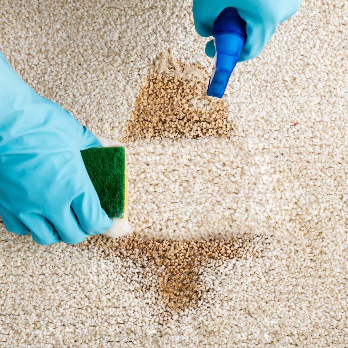 clean carpet stain