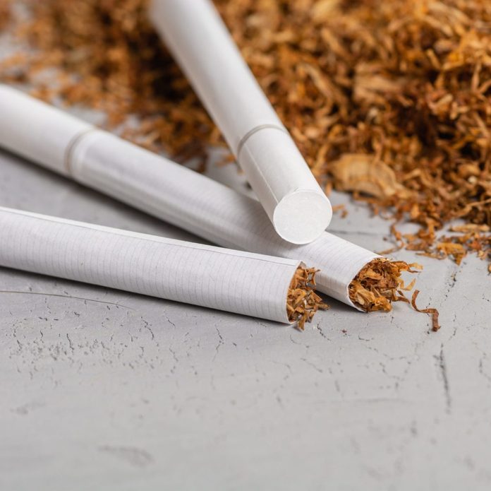 Macro View of the cigarettes and tobacco stack. The tobacco plant is part of the genus nicotiana and of the solanaceae (nightshade) family. Close up with copy paste space, in the gray background