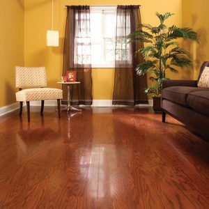 Refinish Hardwood Floors in One Day: How to Refinish Wood Floors Step by Step