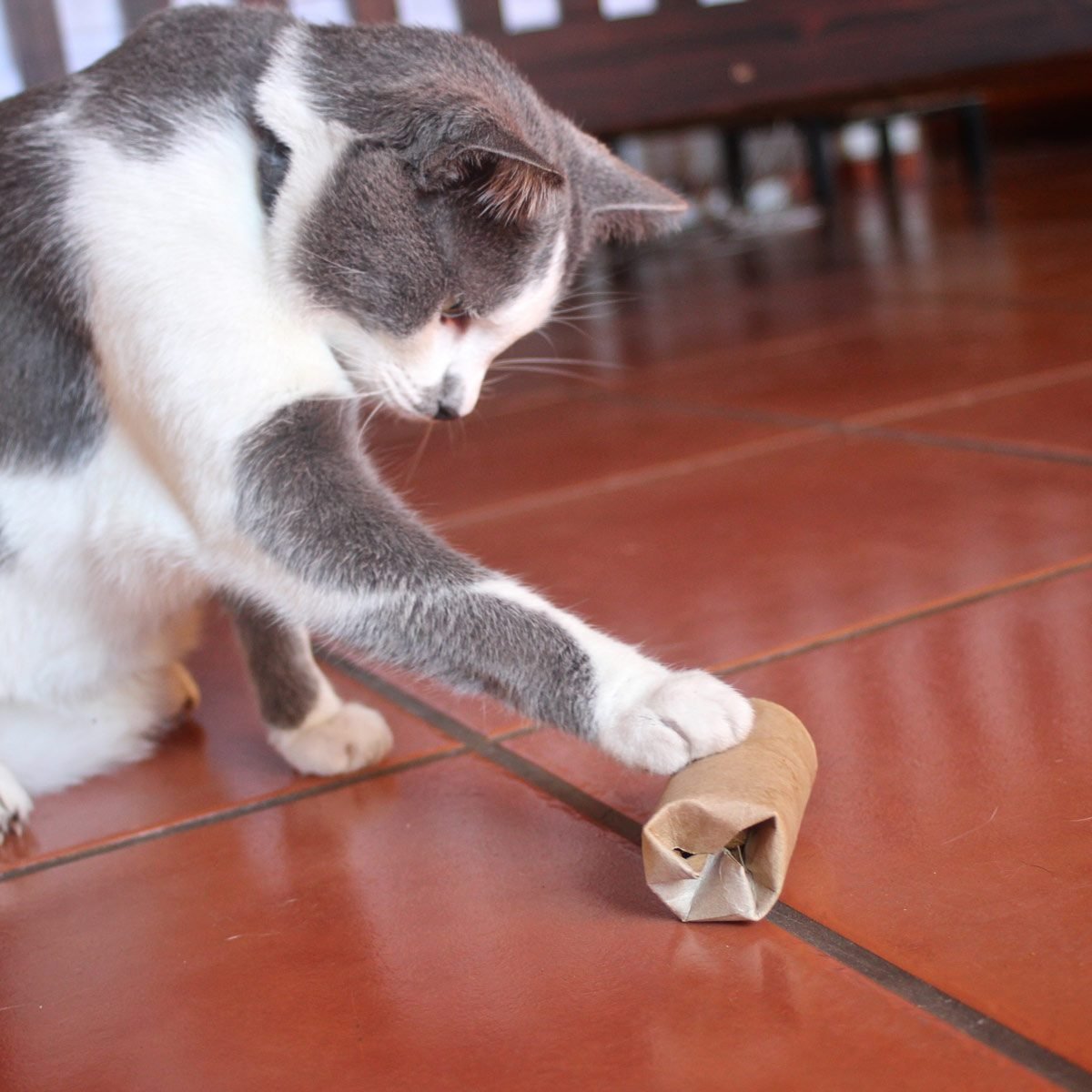 How To Make Diy Cat Toys