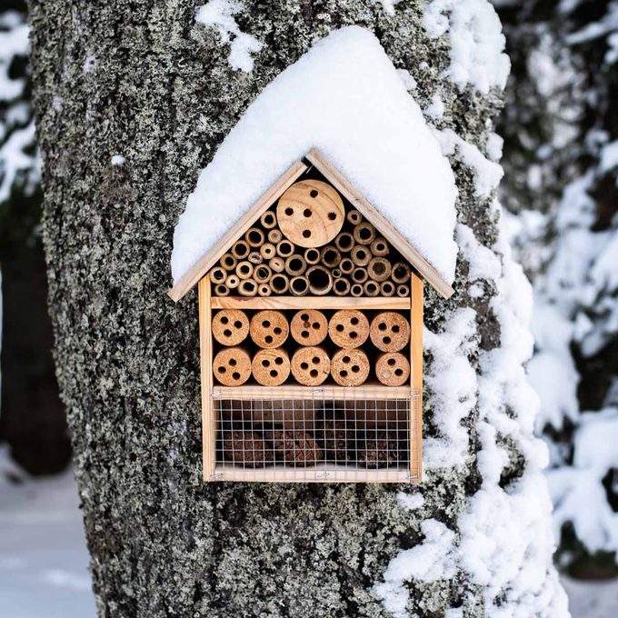 wooden insect house hung on tree in winter snow