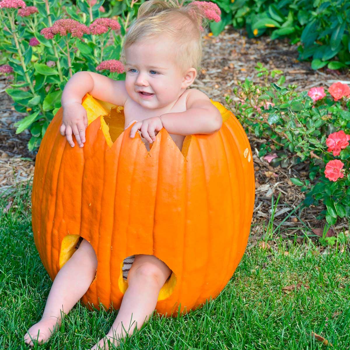 Cute Baby Pumpkin Carving Ideas
