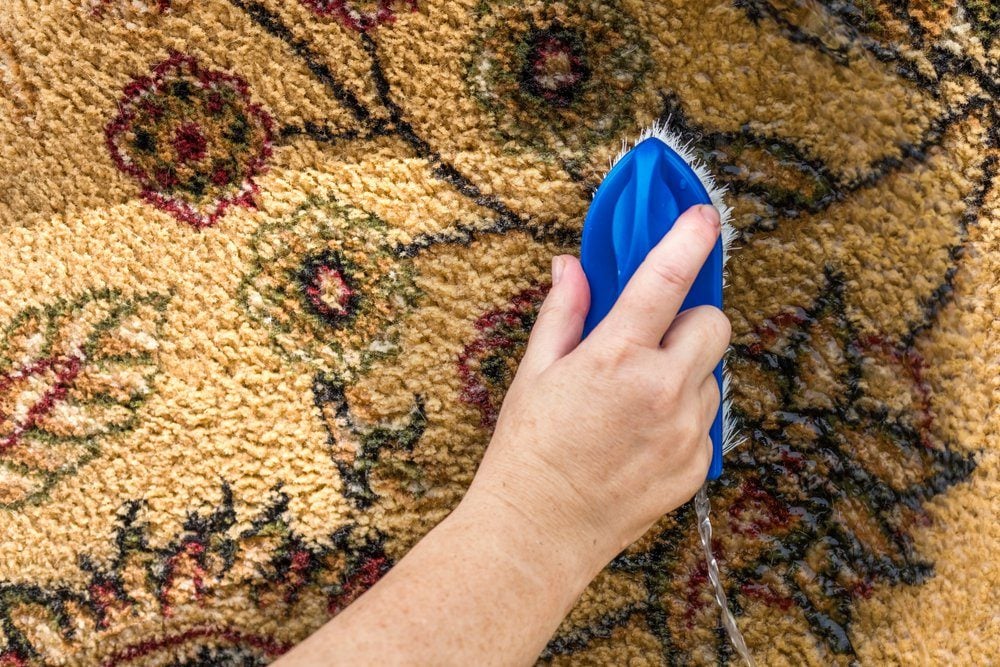 How To Clean Carpets Without A Machine The Family Handyman
