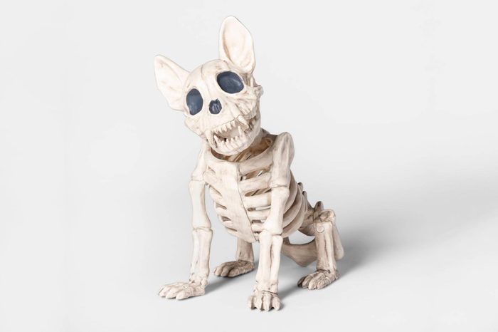 target spooky decor decorations french bulldog frenchie skeleton