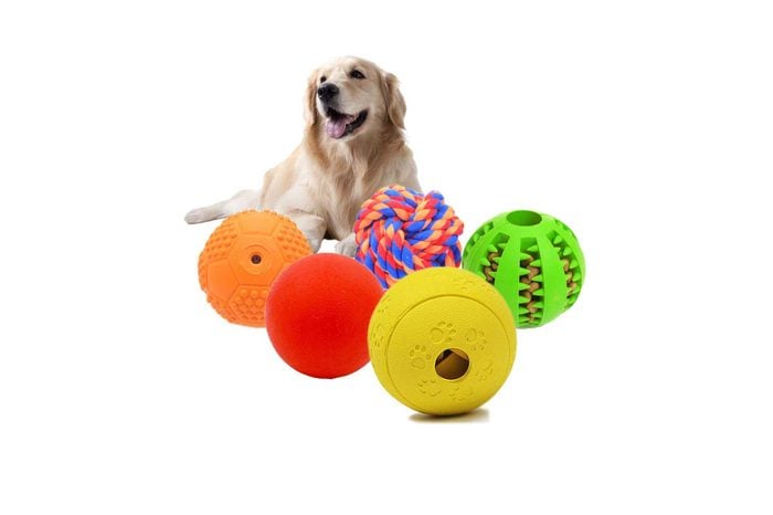 ball toys for dogs