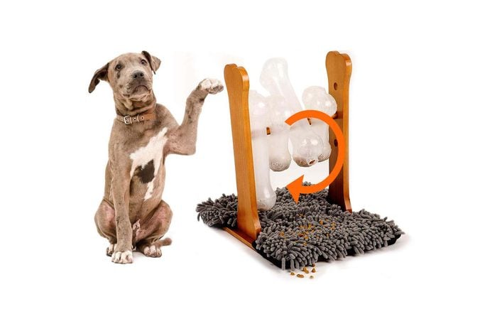 The 14 Best Puzzle Toys for Bored Dogs