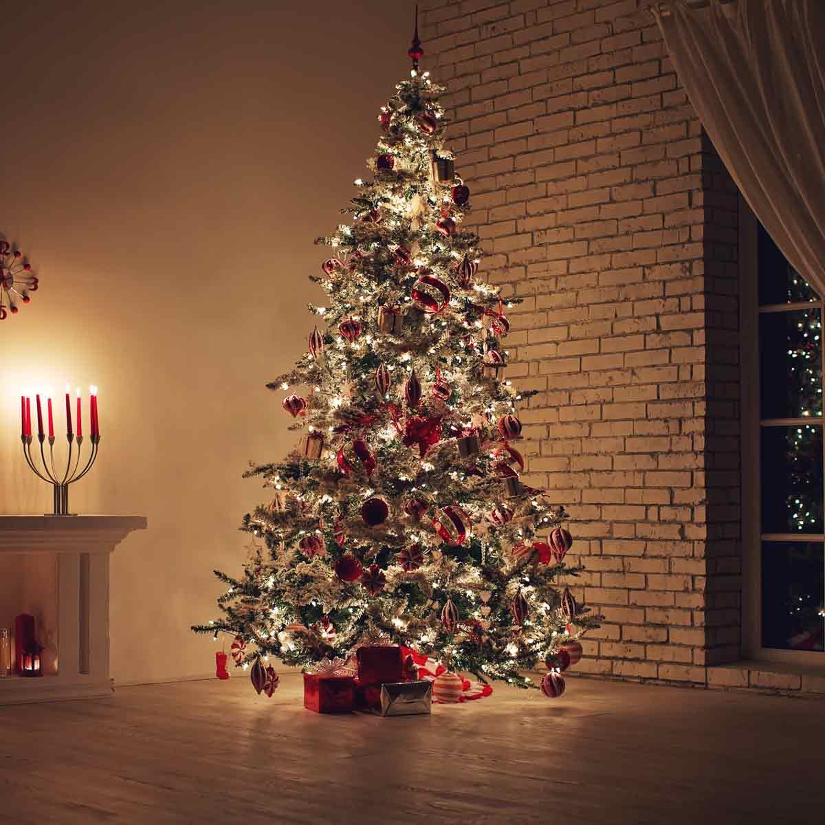 Christmas-tree-lit-up-at-night