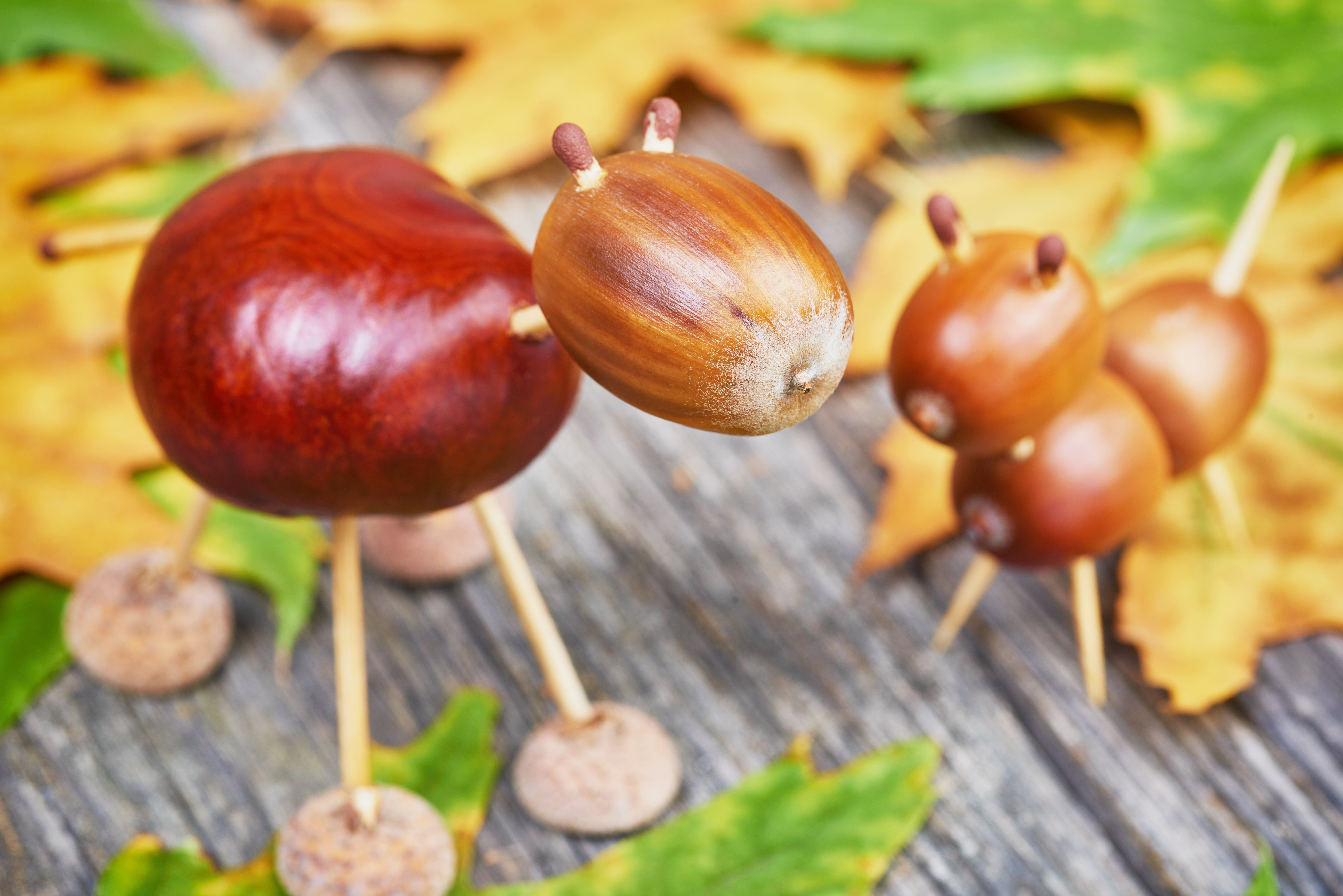 Small creatures made of chestnuts and acorns. Autumnal decoration