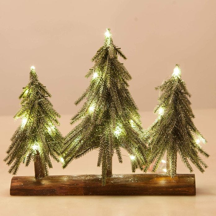 Christmas Trees with Lights