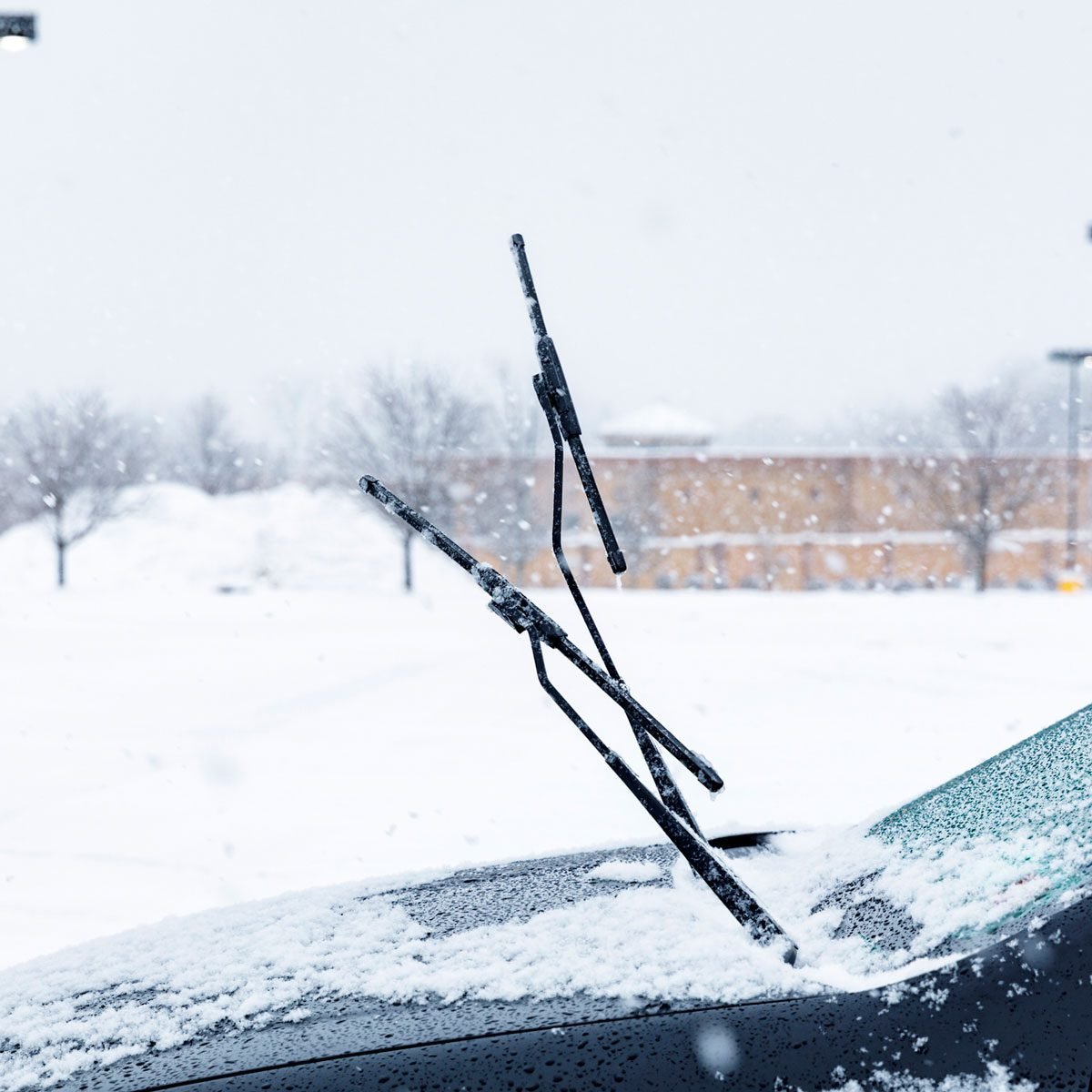 Why Do People Leave Their Windshield Wipers up in the Winter?