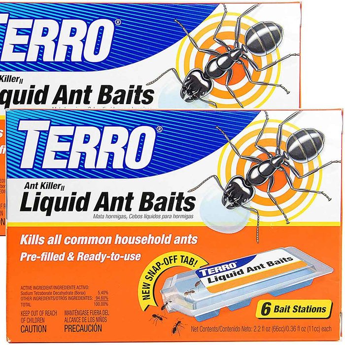 Package of Terro ant baits