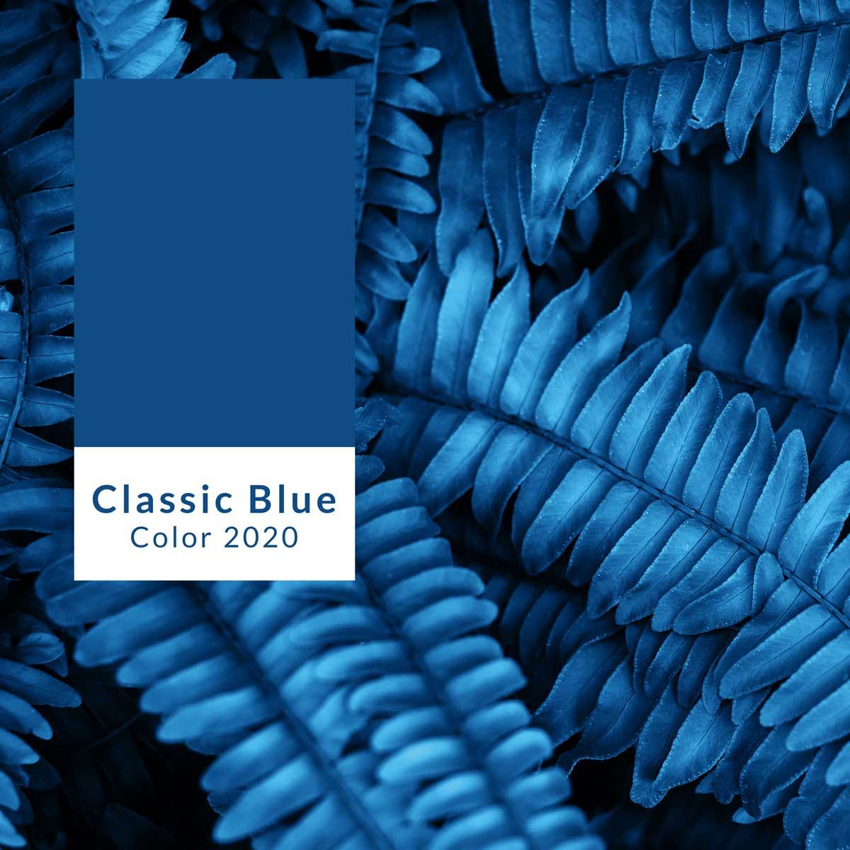 Photo of Pantone's 2020 color of the year