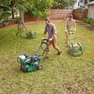 How to Fix a Weedy & Patchy Lawn