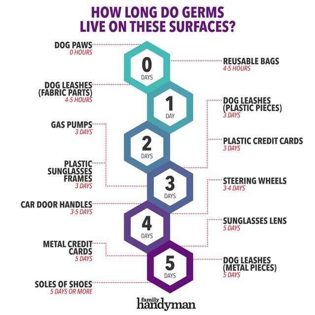 How Long Does E Coli Last on Surfaces?