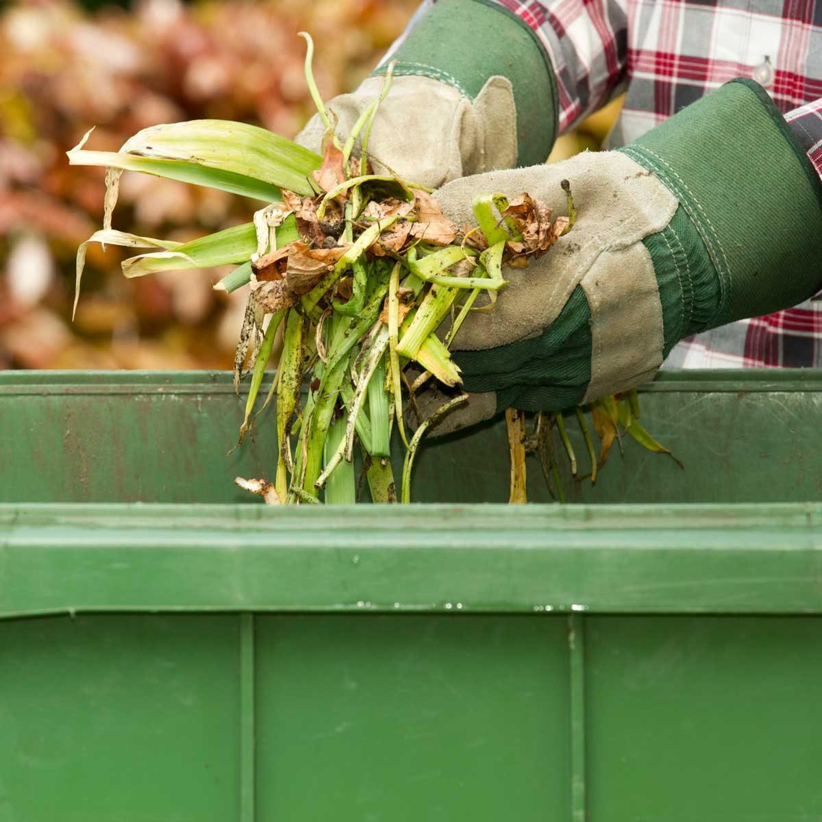 Optional Methods for Leaf Disposal