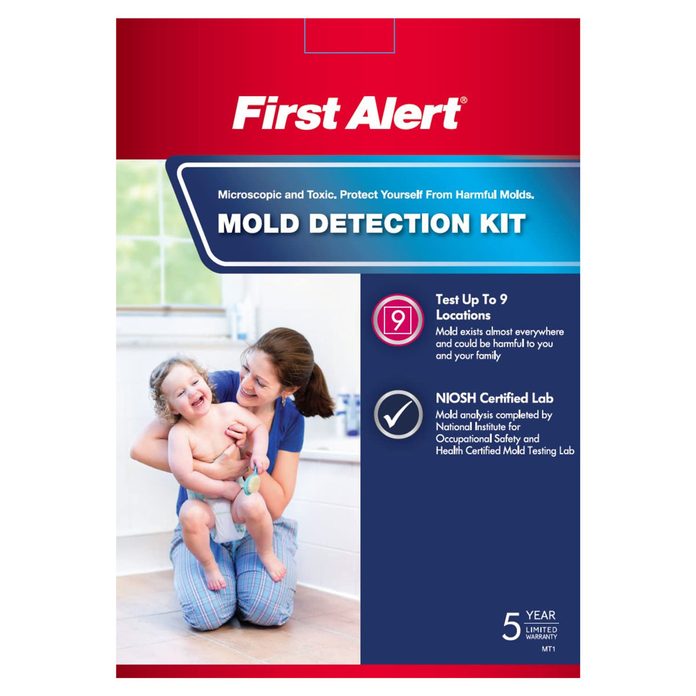 Mold test kit