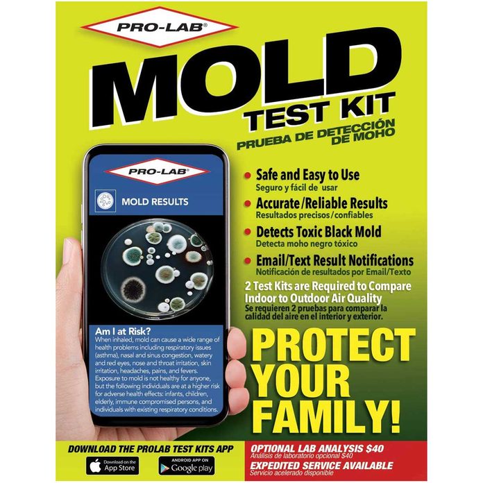 Mold test kit