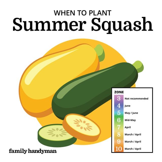 Planting Calendar: When to Plant These Popular Vegetables | The Family ...
