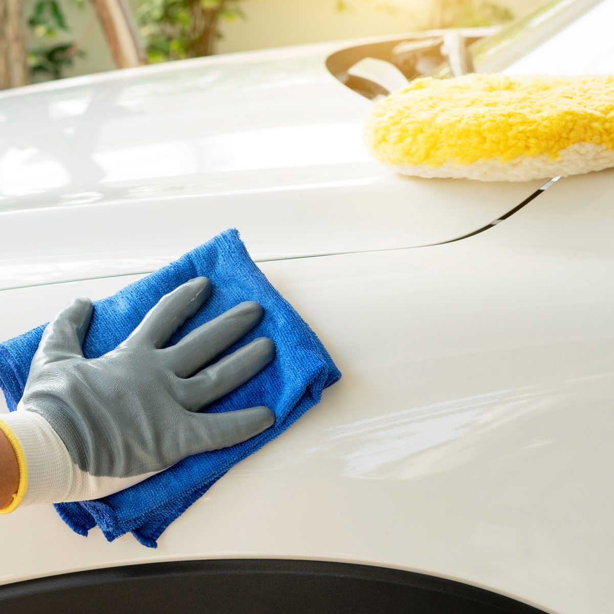 Premium Car Wax Sprays & DIY Car Detailing Supplies - Torque Detail