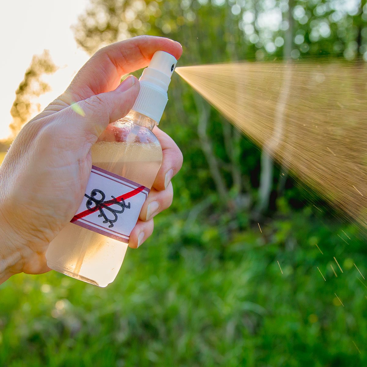 Experimenting with different ingredients to create a customized, homemade mosquito repellent can be a fun way to avoid mosquito bites.