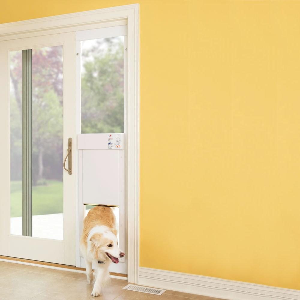 Custom Size MaxSeal Pet Doors - Made to Size or Replace older pet door in  wall - Single or Dual Flap - Best Sealing Best Insulating Most Secure Dog  Door - Fits