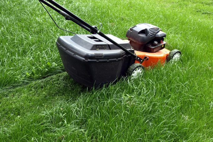 mow