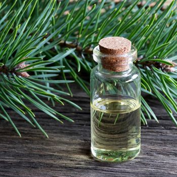 pine oil tick repellent