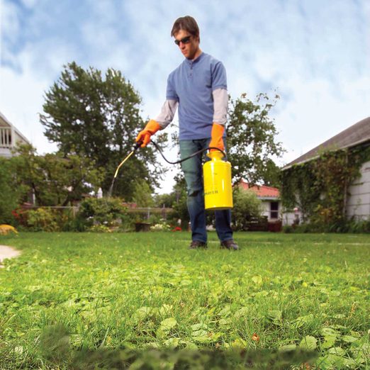 How To Get Rid Of Weeds In Your Lawn Diy Family Handyman