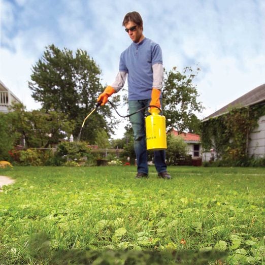 How To Get Rid Of Weeds In Your Lawn, Best Weed Control For Landscaping
