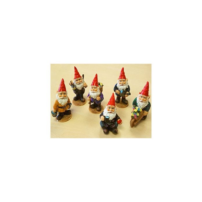 Six mini garden gnomes