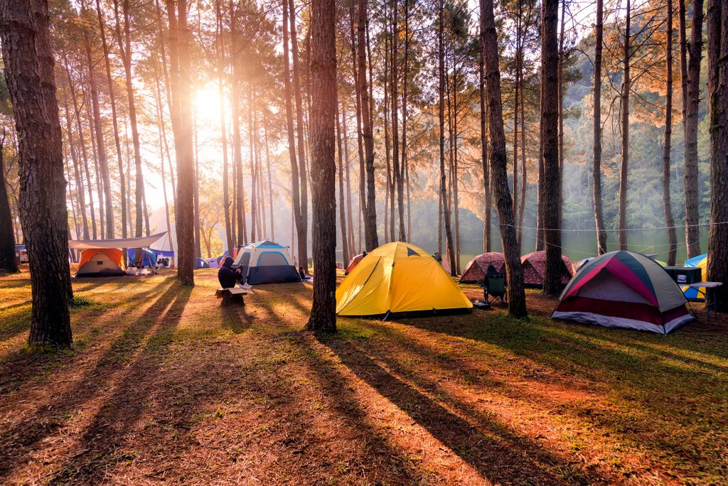 Camping and tent under the pine forest in sunset at Pang-ung, pine forest park , Mae Hong Son, North of Thailand