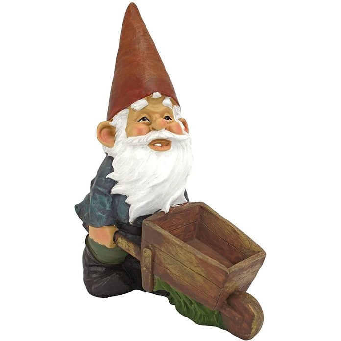 Garden gnome with a wheelbarrow