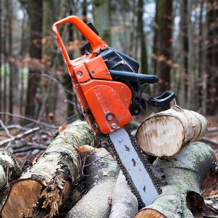 Chainsaw leaning against wood