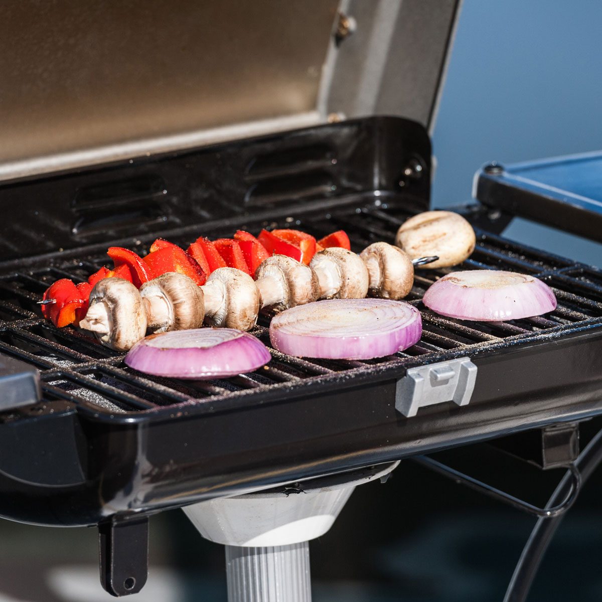 Best Small Electric Grills for 2022