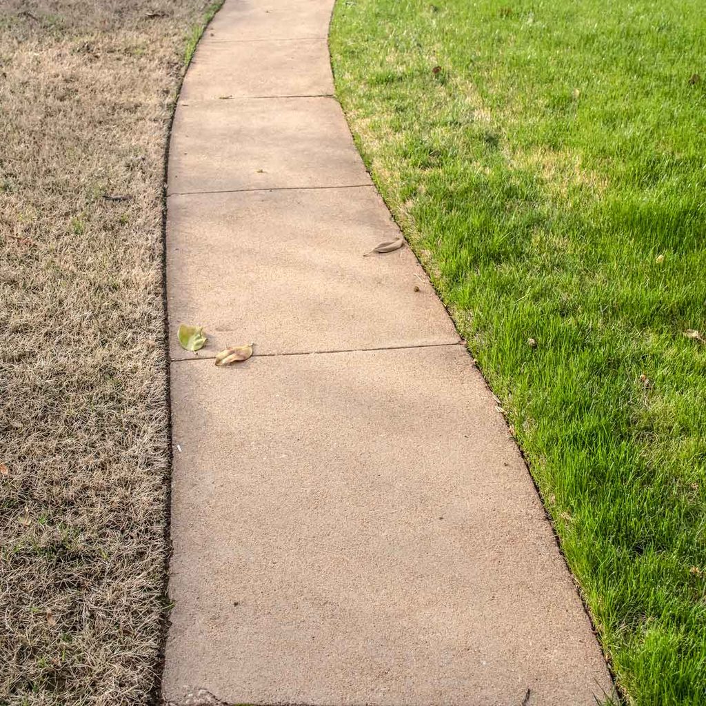 Sidewalk with healthy grass on one side