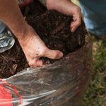 Should You Mulch in the Winter?